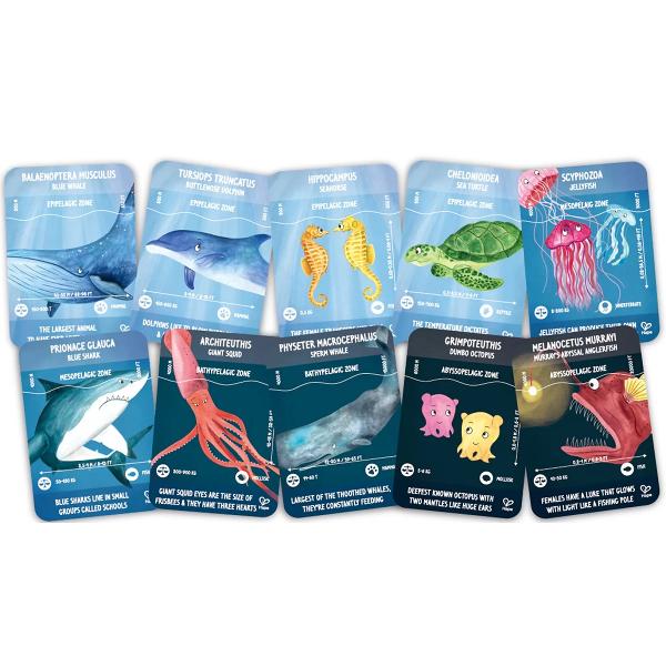 Puzzle fotoluminescent. Viata acvatica