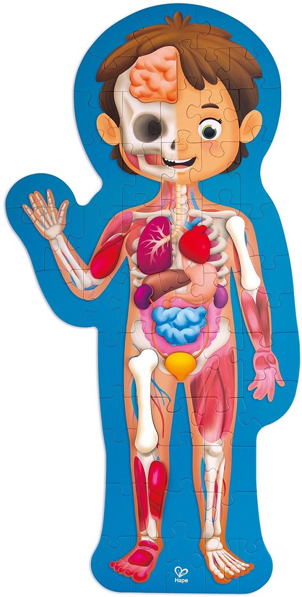 Imaginea produsului 'Puzzle. Corpul uman'