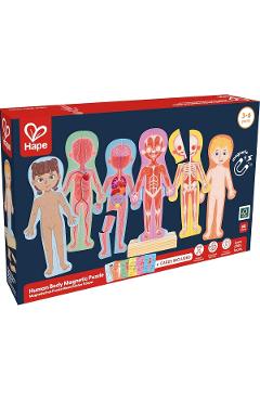 Imaginea produsului 'Puzzle magnetic. Corpul uman'