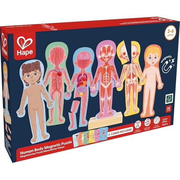 Puzzle magnetic. Corpul uman