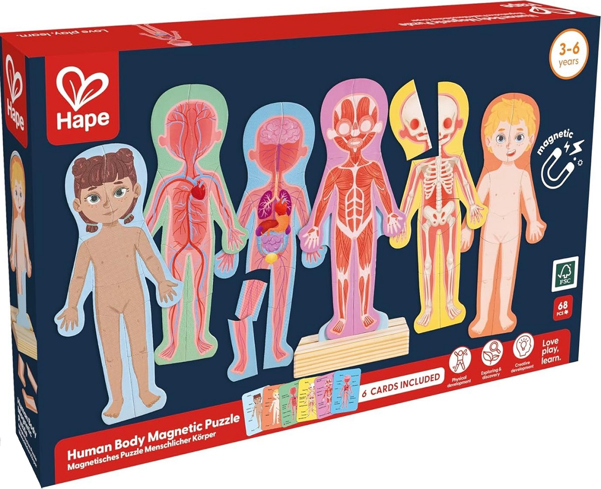 Imaginea produsului 'Puzzle magnetic. Corpul uman'