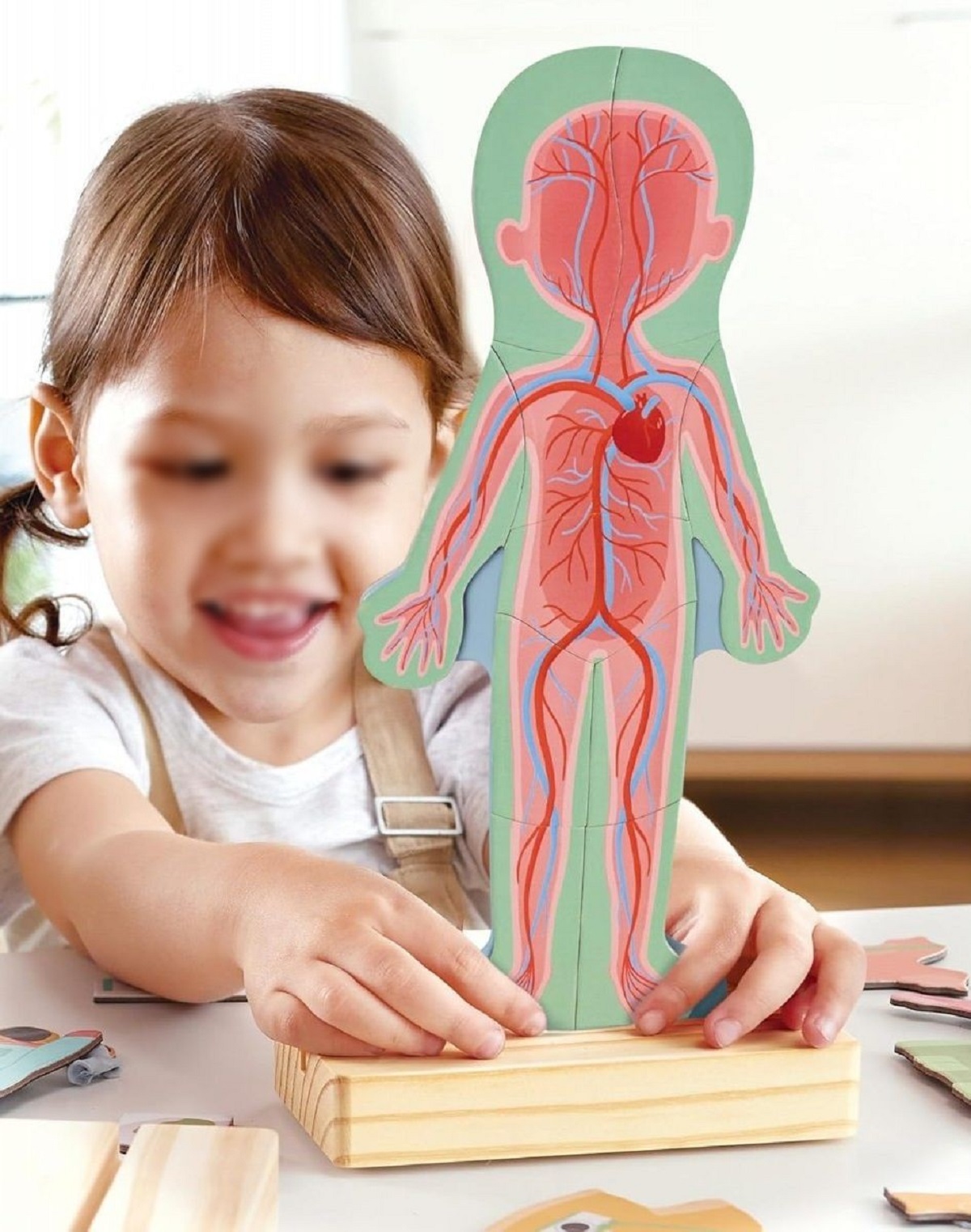 Imaginea produsului 'Puzzle magnetic. Corpul uman'