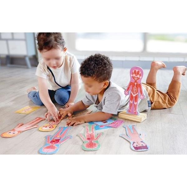 Puzzle magnetic. Corpul uman