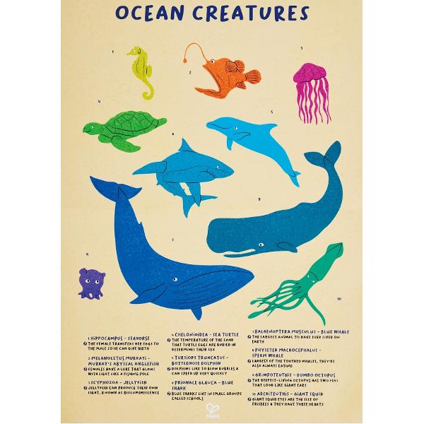 Puzzle Balena cu cocoasa