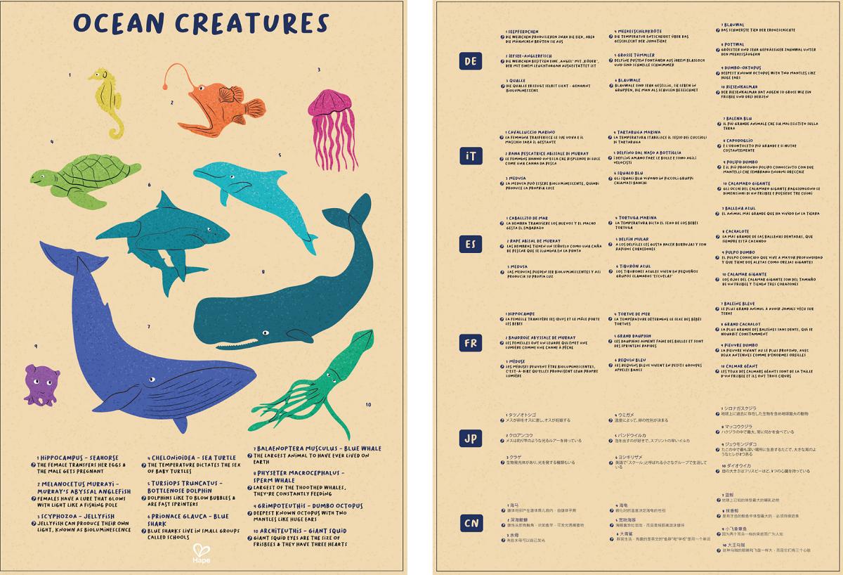 Imaginea produsului 'Puzzle Balena cu cocoașă'