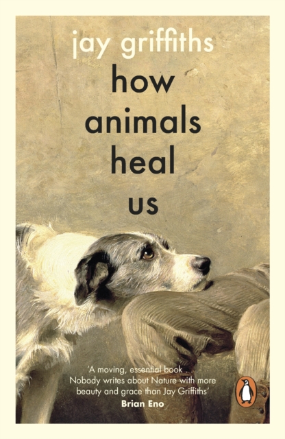 Coperta cărții 'How Animals Heal Us -'