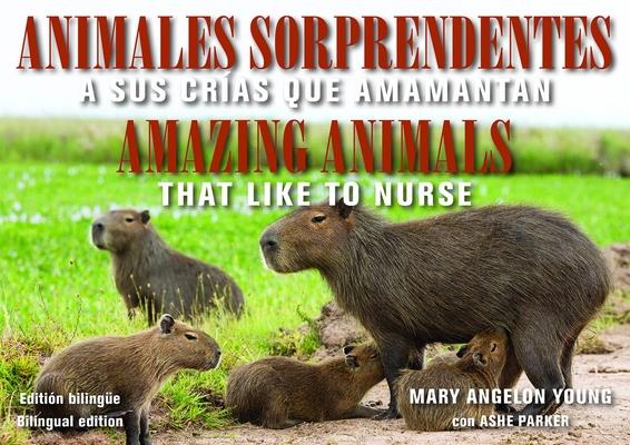 Coperta cărții 'Animales Sorprendentes / Amazing Animals: Que Amamantan a Sus Crias / That Like to Nurse - Mary Angelon Young'