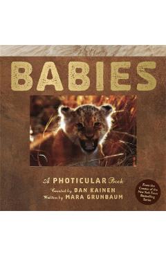 Coperta cărții 'Babies: A Photicular Book - Dan Kainen'