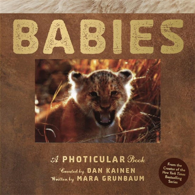 Coperta cărții 'Babies: A Photicular Book - Dan Kainen'