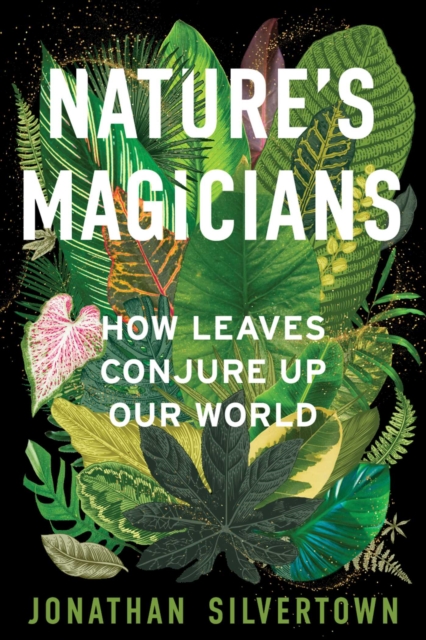 Coperta cărții 'Nature's Magicians: How Leaves Conjure Up Our World - Jonathan W. Silvertown'