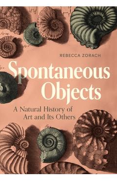 Coperta cărții 'Spontaneous Objects: A Natural History of Art and Its Others - Rebecca Zorach'