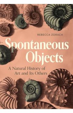 Spontaneous Objects: A Natural History of Art and Its Others - Rebecca Zorach