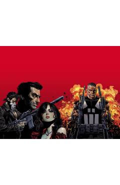 Coperta cărții 'Marvel Knights: Punisher - Jimmy Palmiotti'