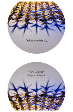 Coperta cărții 'Siteseeing - Ariel Gordon'