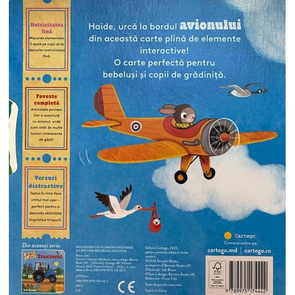 Bebe la Bord. Avionul