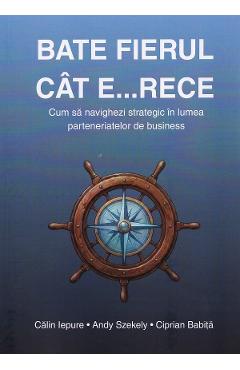 Coperta cărții 'Bate fierul cât e... rece - Călin Iepure, Andy Szekely, Ciprian Babiță'