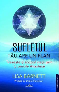 Coperta cărții 'Sufletul tău are un plan - Lisa Barnett'
