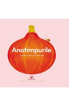 Coperta cărții 'Anotimpurile. Cartea mea cu ilustrații'