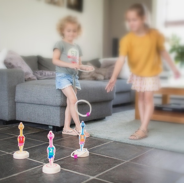 Imaginea produsului 'Joc de aruncare la țintă: Hrănește păsările'