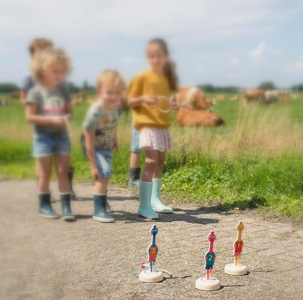 Imaginea produsului 'Joc de aruncare la țintă: Hrănește păsările'