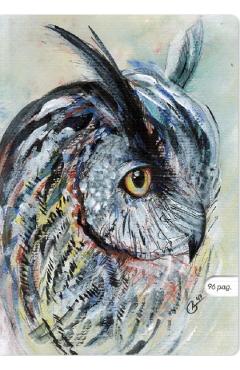 Imaginea produsului 'Set 3 caiete A4 dictando: Bufniță'