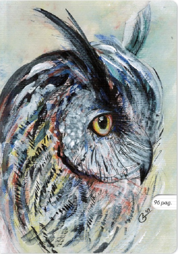 Imaginea produsului 'Set 3 caiete A4 dictando: Bufniță'