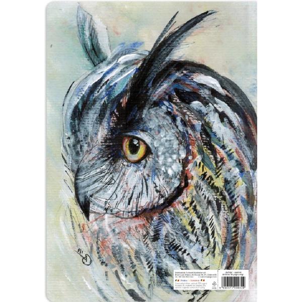 Set 3 caiete A4 dictando: Bufnita