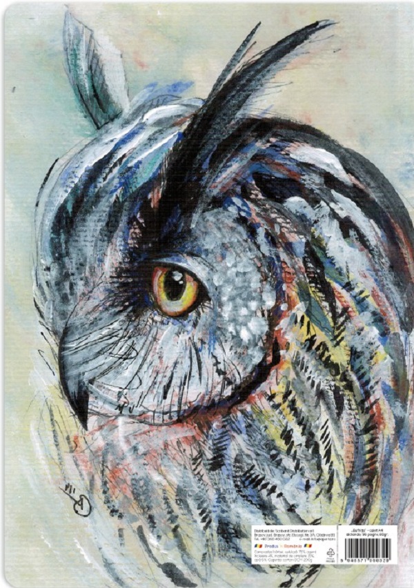 Imaginea produsului 'Set 3 caiete A4 dictando: Bufniță'