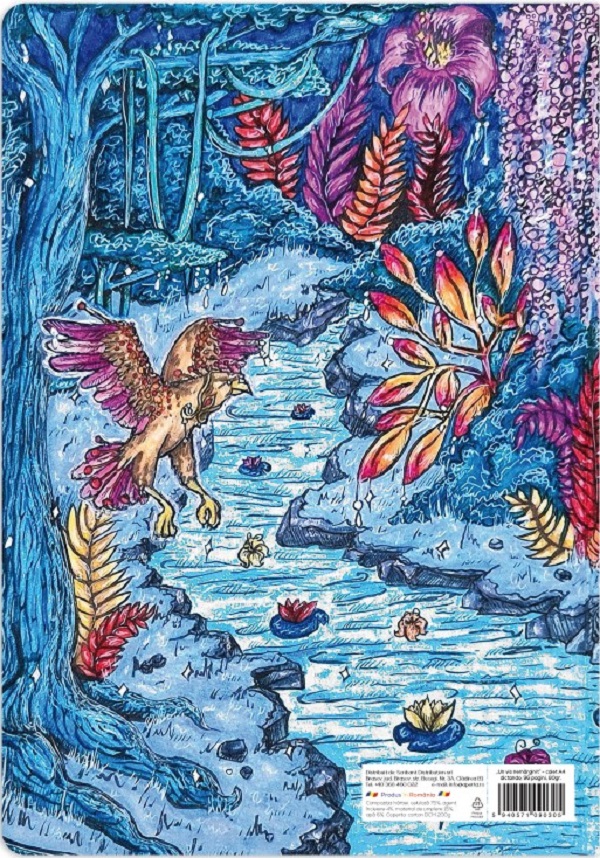 Imaginea produsului 'Set 3 caiete A4 dictando: Un vis nemărginit'