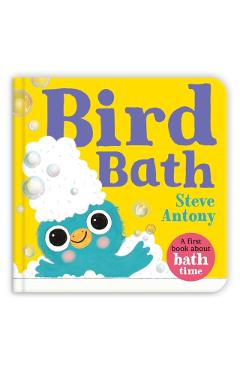 Bird Bath - Steve Antony
