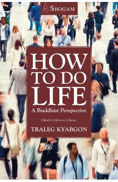 How To Do Life - Traleg Kyabgon Rinpoche Ix