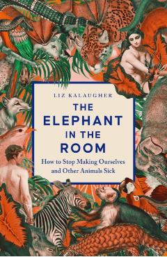 Elephant in the Room - Liz Kalaugher