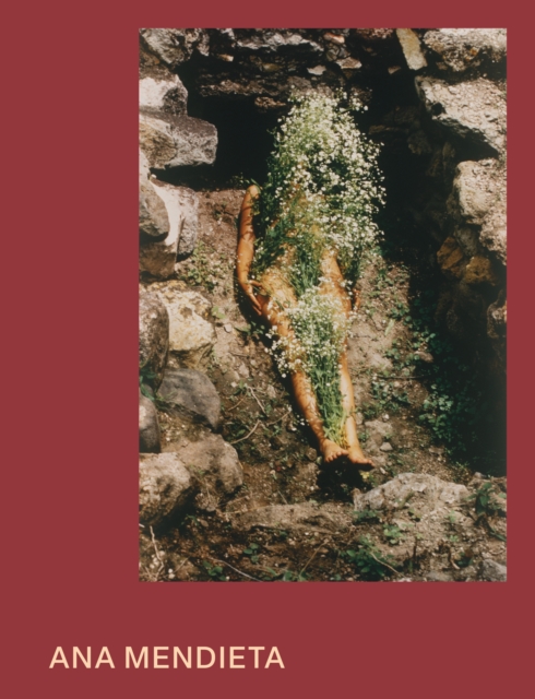 Coperta cărții 'Ana Mendieta -'