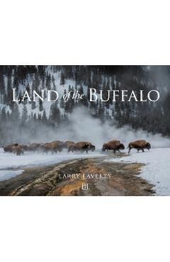 Land of the Buffalo - Larry Laverty