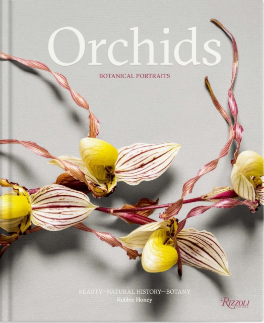 Coperta cărții 'Orchids: Botanical Portraits: Beauty, Natural History, Botany - Robbie Honey'