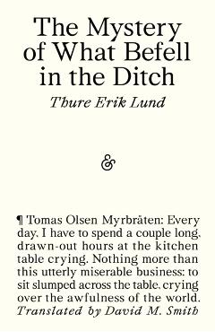 Coperta cărții 'The Mystery of What Befell in the Ditch - Thure Erik Lund'