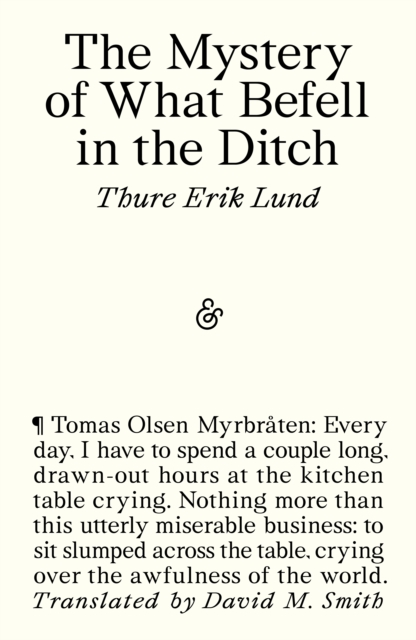 Coperta cărții 'The Mystery of What Befell in the Ditch - Thure Erik Lund'