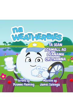 Ta Sean Scamall ag Deanamh Cruthanna - Yvonne Fleming