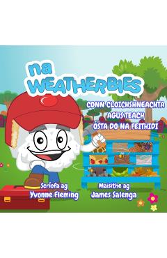 Coperta cărții 'Conn Cloichshneachta agus Teach Osta Do Na Feithidi - Yvonne Fleming'
