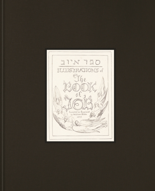 Coperta cărții 'William Blake’s Illustrations for the Book of Job - Katharine|viscomi Dell'