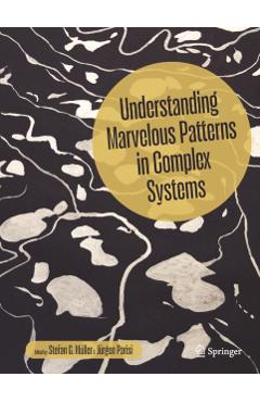 Understanding Marvelous Patterns in Complex Systems -