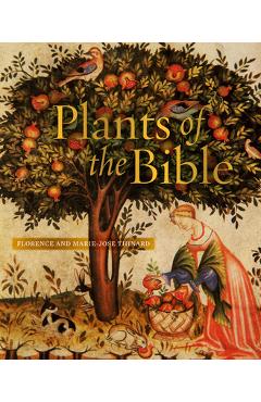 Coperta cărții 'Plants of the Bible - Aude Lavielle'