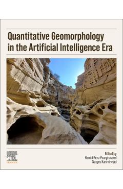 Coperta cărții 'Quantitative Geomorphology in the Artificial Intelligence Era: Applications of AI for Earth and Environmental Change -'