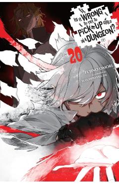 Coperta cărții 'Is It Wrong to Try to Pick Up Girls in a Dungeon?, Vol. 20 (Light Novel) - Fujino Omori'