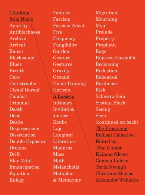 Coperta cărții 'Thinking from Black: A Lexicon -'