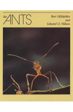 Coperta cărții 'The Ants - Bert Hölldobler'