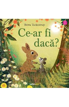 Coperta cărții 'Ce-ar fi dacă? - Britta Teckentrup'