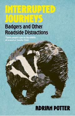 Interrupted Journeys - Adrian Potter