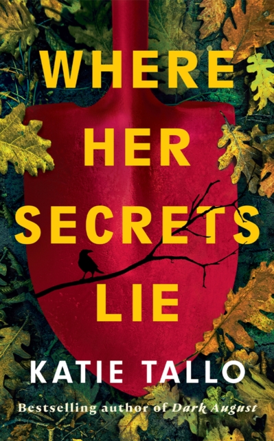 Coperta cărții 'Where Her Secrets Lie - Katie Tallo'