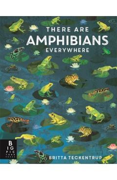There Are Amphibians Everywhere - Camilla De La Bedoyere